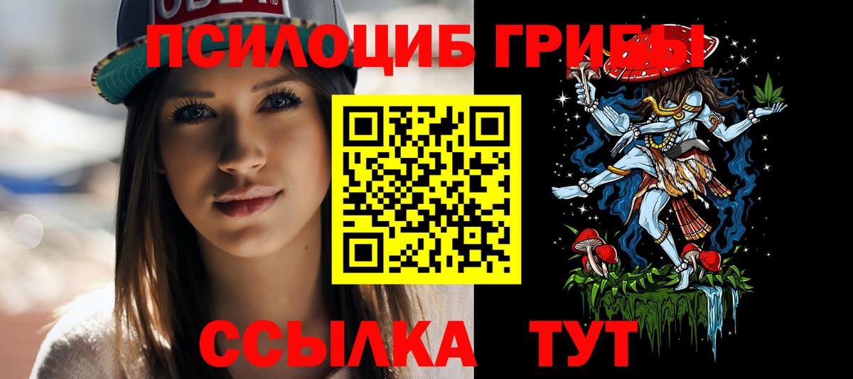 Галлюциногенные грибы Psilocybine cubensis Коммунар
